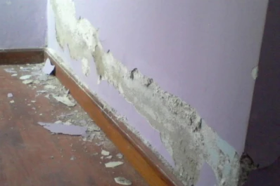 Seis pasos para eliminar el salitre de las paredes