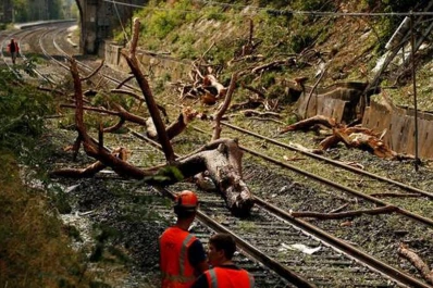 Francia: al menos ocho heridos en un accidente de tren