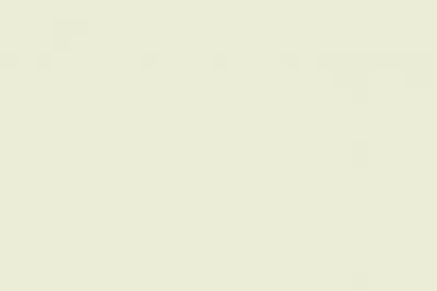 La reforma política viene detrás de Usain Bolt