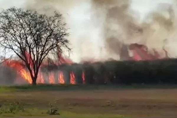 Video: un incendio consumió un cañaveral a 50 metros del aeropuerto