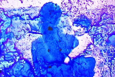 Cinco días de cine independiente