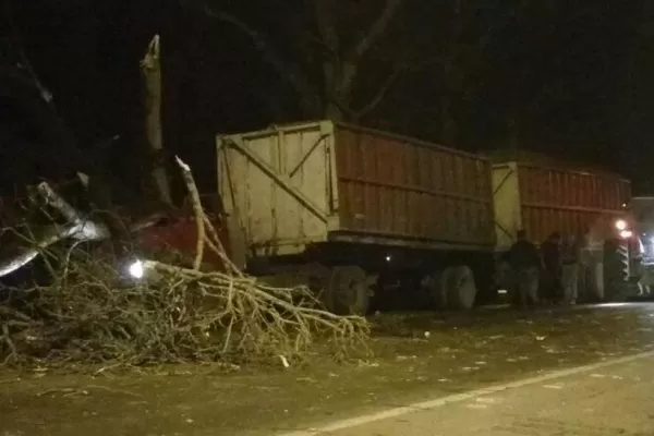 Un camionero que tiraba dos rastras chocó contra un árbol en la ruta 38, en Aguilares
