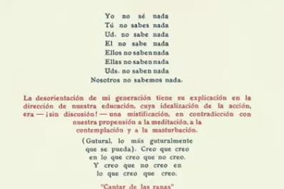 El espantapájaros de la droga