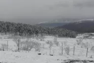 Mirá las fotos de la sorpresiva nevada en Tafí del Valle