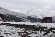 San Pedro de Colalao también se cubrió de nieve