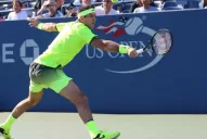 Del Potro despachó a Schwartzman y avanzó de ronda