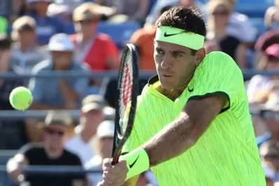 Del Potro fue invitado al Master de Shanghai