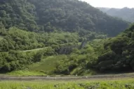 Un nuevo felino en El Cadillal: filman un puma y aumenta la alarma entre los vecinos