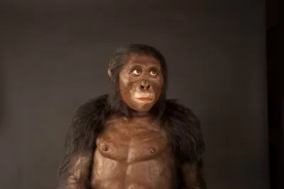 Lucy habría muerto por una caída desde un árbol