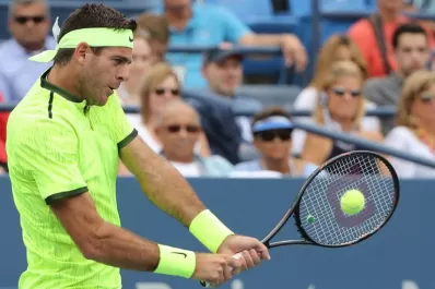 Del Potro le ganó en sets corridos a Ferrer en el US Open