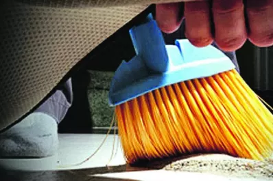 Abajo de la alfombra