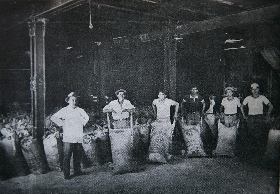 Once imágenes para 11 ingenios - LA GACETA Tucumán