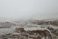 Debido a la nieve, no se puede subir más allá de Tafí del Valle