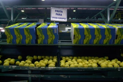 Aumentaron las exportaciones de limones