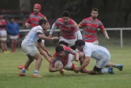 Lawn Tennis y Lince: en ascensor y en escalera