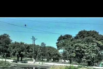 ›› Cartas de lectores