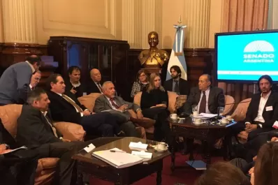 Duelo de tucumanas en el Senado por la designación de Alperovich