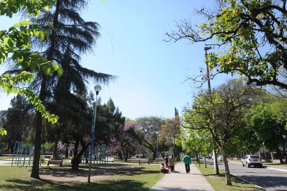 EL PASEO CENTRAL. Con generosas sombras es una atracción al mediodía para disfrutar del aire fresco; por eso la recorren los vecinos con sus mascotas y los niños cuando salen de la escuela Paul Groussac. LA GACETA /  FOTOS DE HÉCTOR PERALTA.- 