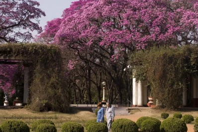 Un taxista persiguió y ayudó a capturar a un delincuente
