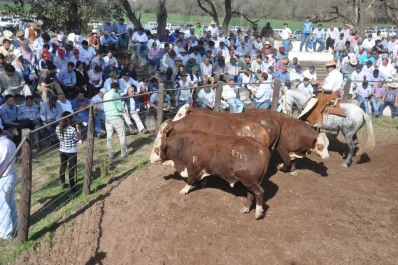 “Es el momento de pensar en la terminación de terneros”