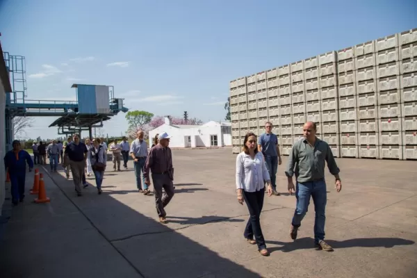 Una delegación del USDA/Aphis verificó el sistema de control en origen del limón del NOA