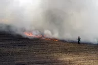 Los bomberos apagan hasta 20 incendios por día en campos de caña