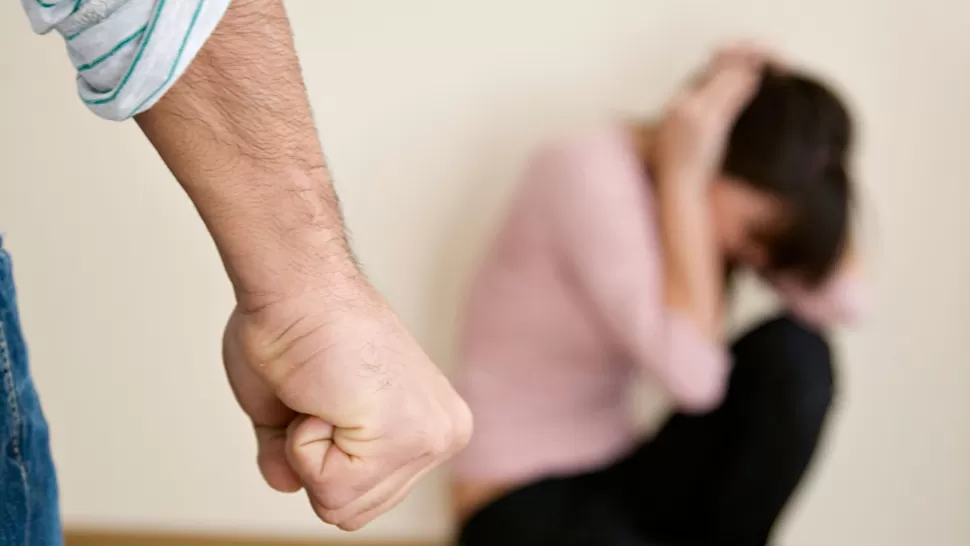 Las mujeres entre 30 y 39 años son las que más sufrieron violencia familiar durante 2015
