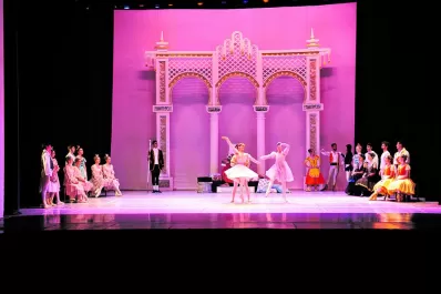 La cantinera y los cisnes que vuelven al lago