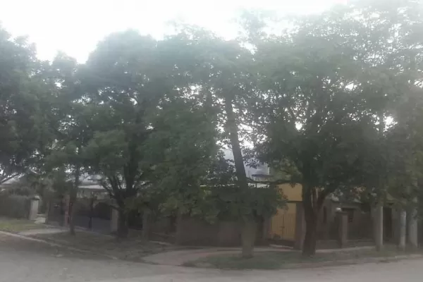 Luego del fuerte viento de ayer, llevan 24 horas sin energía eléctrica