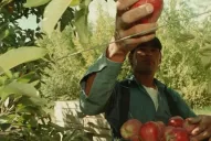 Rechazan el bono de fin de año: las economías regionales no pueden afrontar más cargas