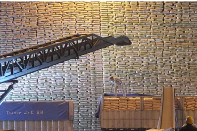 Lo único que hace el Gobierno nacional es castigarnos, dijo Rocchia Ferro