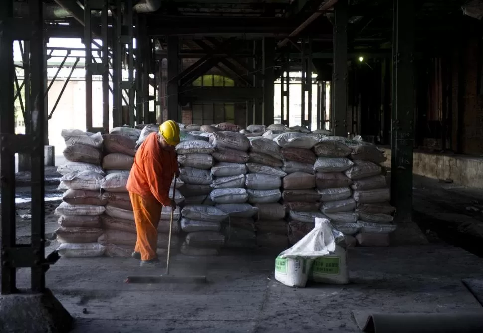 ESTRATEGIA. Los productores de la región buscan proteger al azúcar. la gaceta / foto de FOTO DE JORGE OLMOS SGROSSO (archivo)