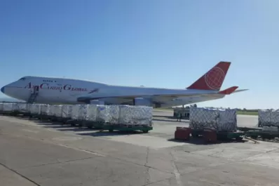Partió hoy el primer vuelo a Europa con arándanos tucumanos