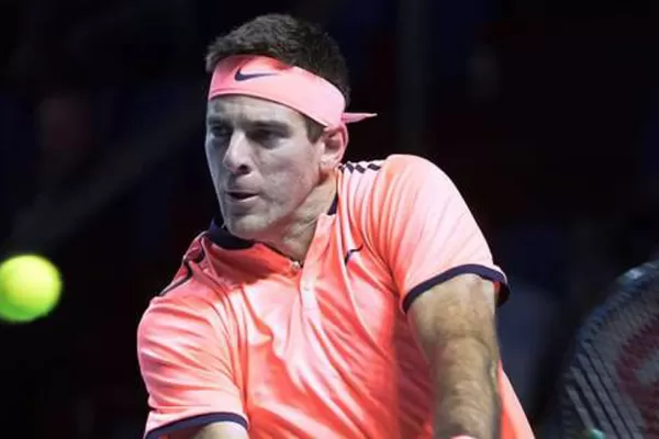 Del Potro venció a Goffin y clasificó a cuartos en Basilea