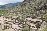 Por la ruta 40: un camino entre viñedos, montañas como flechas y cerros de colores