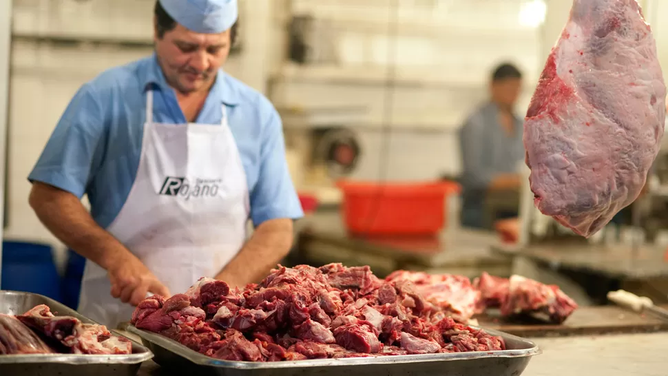 AUMENTO DE PRECIOS. La carne podría costar en diciembre un 20% más que ahora. LA GACETA/ DIEGO ARÁOZ
