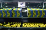 El limón tucumano, al tope de los productos nacionales exportados