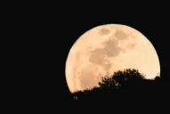 El lunes se podrá ver una Superluna, un fenómeno que se repetirá recién en 2020