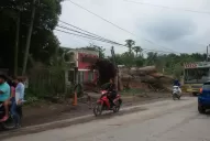 Los vecinos callan ante lo restos del árbol que cayó y mató a un niño
