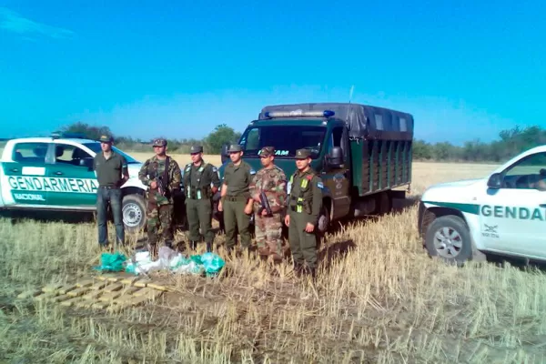 Encontraron otros 28 kilos marihuana que fueron arrojados desde una avioneta en Burruyacu