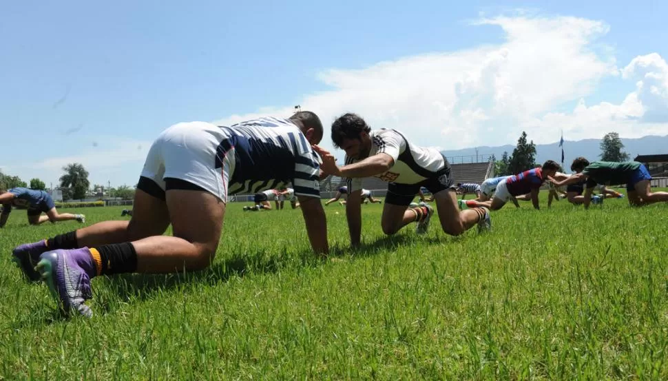 ESFUERZO. Jugadores del plantel tucumano en plena tarea en la cancha el predio de Universitario, en Ojo de Agua. la gaceta / Foto de José Nuno