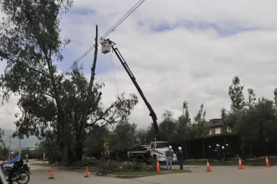 Después de la tragedia, talaron al menos 10 eucaliptos en Yerba Buena
