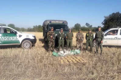 El cielo, el nuevo paraíso de los narcos