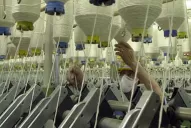 Cesantías y finalización de contratos: Tavex se desvincula de 140 empleados