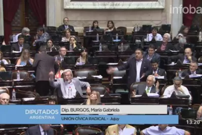 Video: fuertes cruces en Diputados por la situacion de Milagro Sala