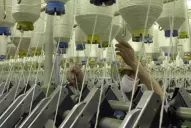 La Cámpora reclama a Manzur que atienda la crisis de la industria textil