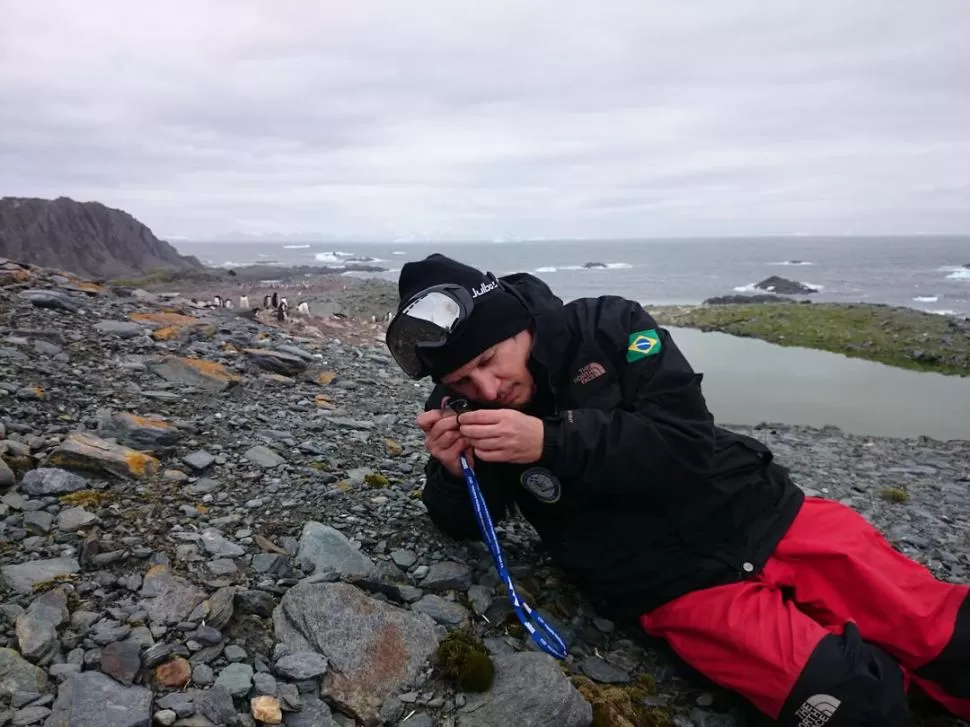 RECOGIENDO MUESTRAS. Guillermo Suárez, en la isla Elefante, la más septentrional de las Shetland del Sur, trabaja recostado a causa del viento. Fotos gentileza Guillermo Suárez