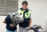 La Policía detuvo a uno de los presuntos asesinos del folclorista Luis Rodrigo Pinilla