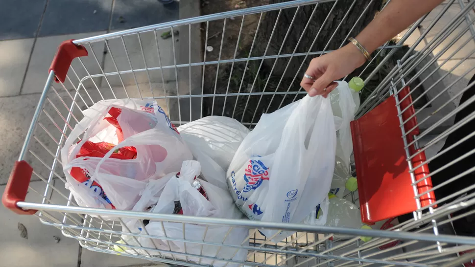 CARRITO. Una persona sale del supermercado con varias bolsas en el carro. LA GACETA / FOTO DE ANALIA JARAMILLO
