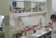 Sólo ocho científicos tucumanos ingresaron al Conicet